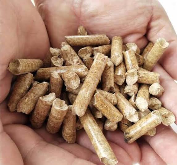 Close-up biomass pellets